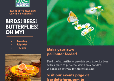 Children’s Summer Workshop; BIRDS! BEES! & BUTTERFLIES! OH MY!