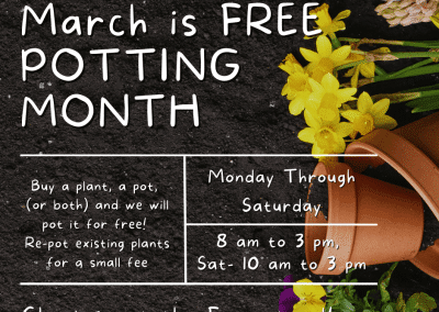 Free Potting All Month Long!