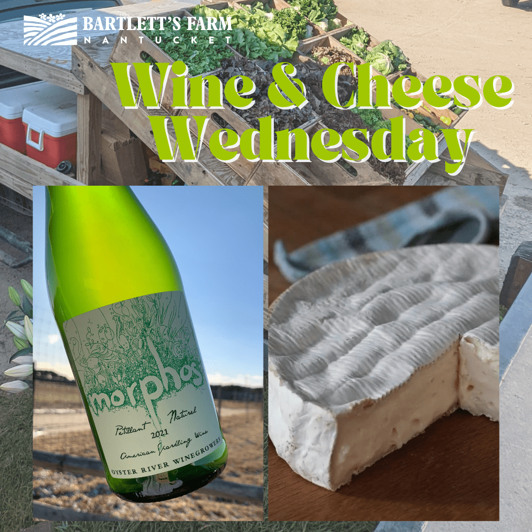 Wine and Cheese Wed