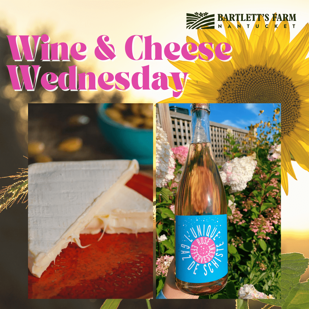 Wine and Cheese Wed 6