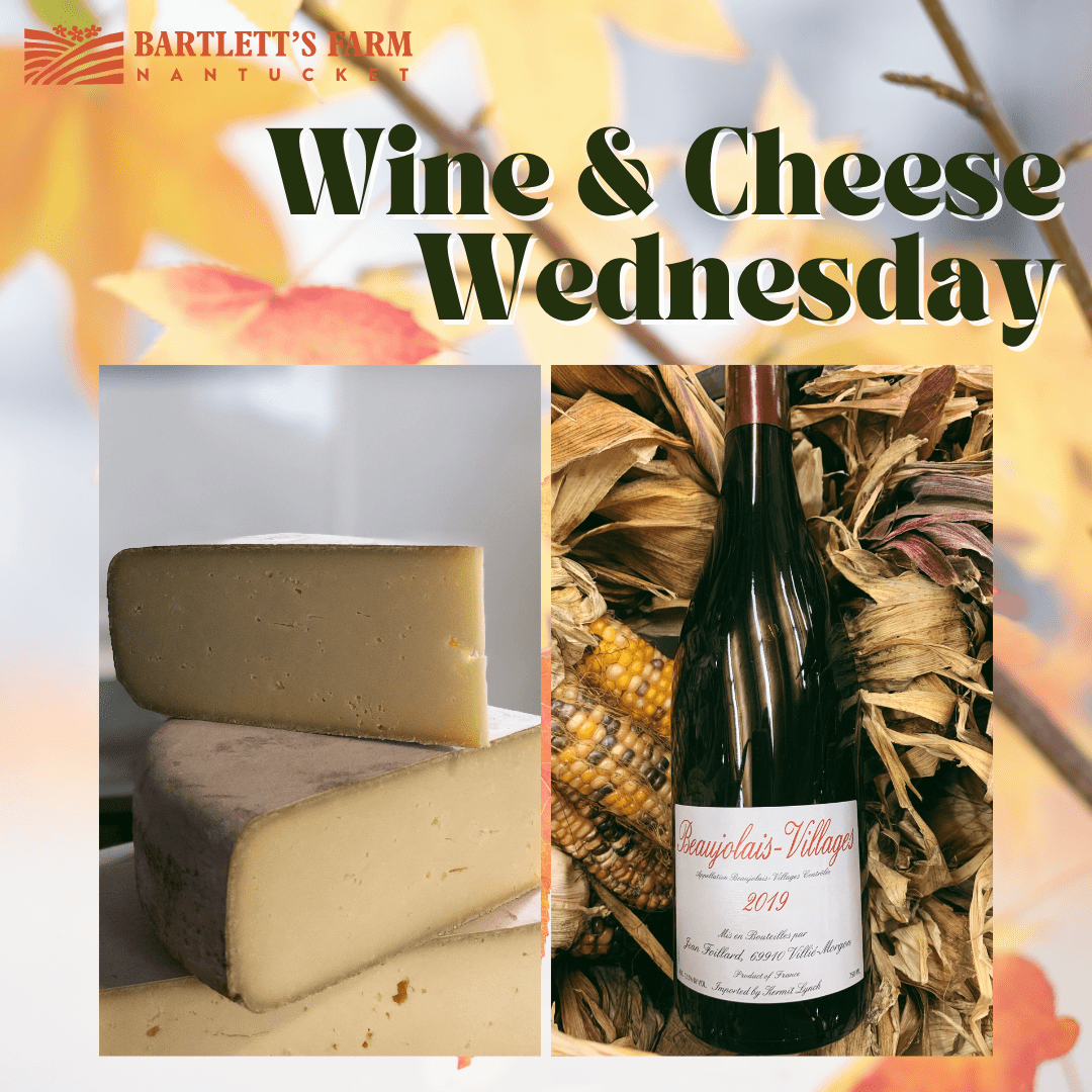Wine and Cheese Wed 8