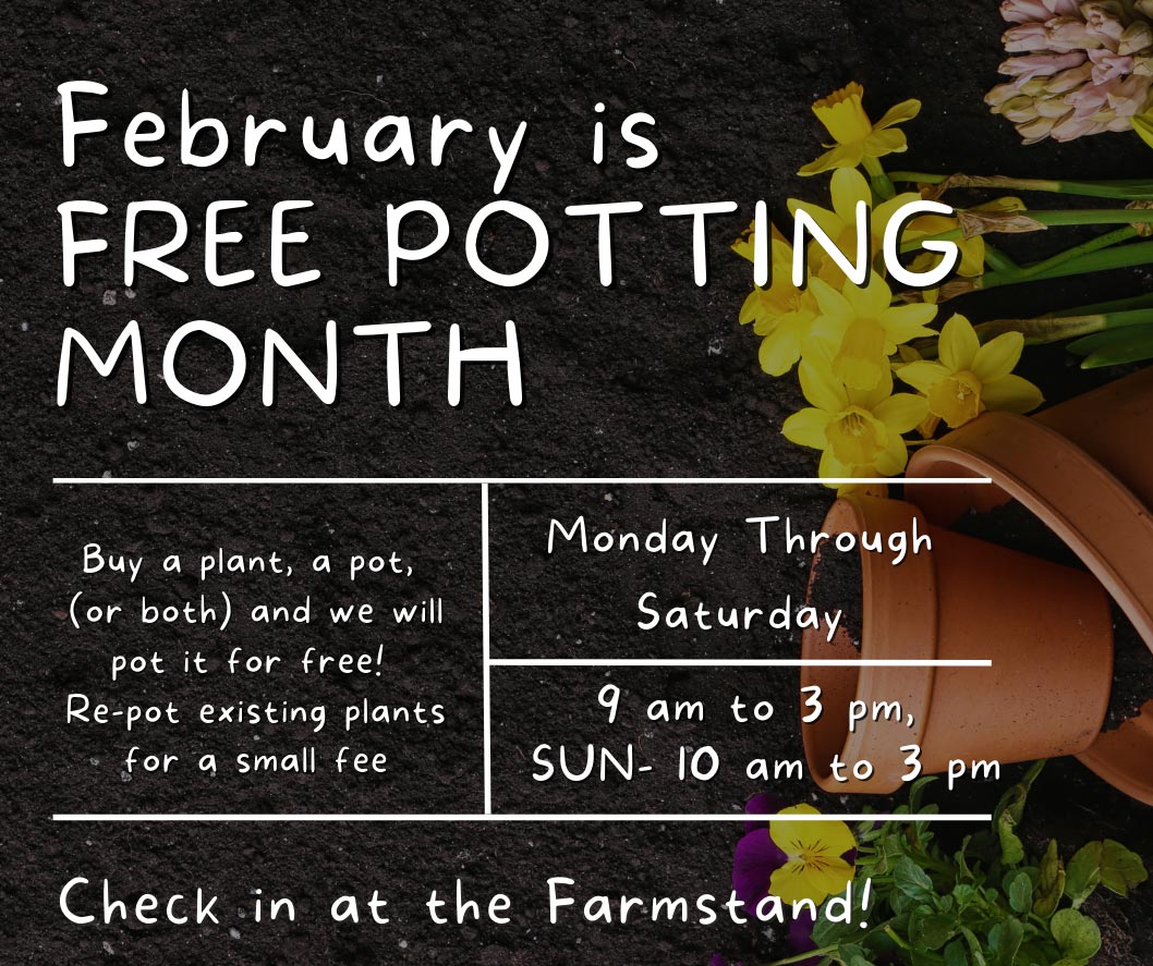 free potting feb