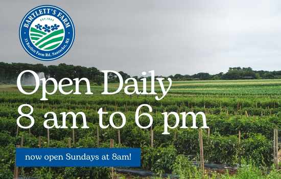 open daily 8 6